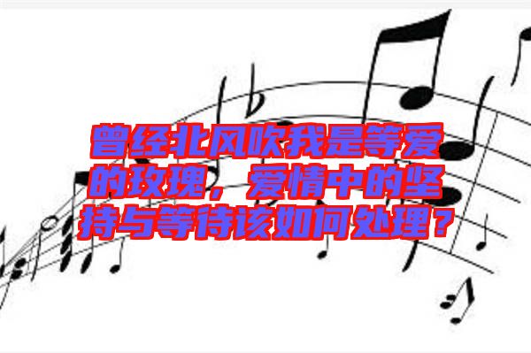 曾經(jīng)北風(fēng)吹我是等愛的玫瑰，愛情中的堅(jiān)持與等待該如何處理？