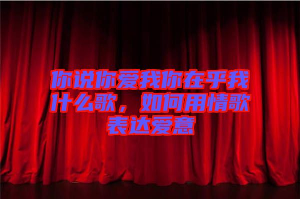 你說你愛我你在乎我什么歌，如何用情歌表達愛意