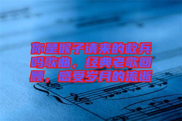 你是猴子請(qǐng)來(lái)的救兵嗎歌曲，經(jīng)典老歌回顧，感受歲月的流逝