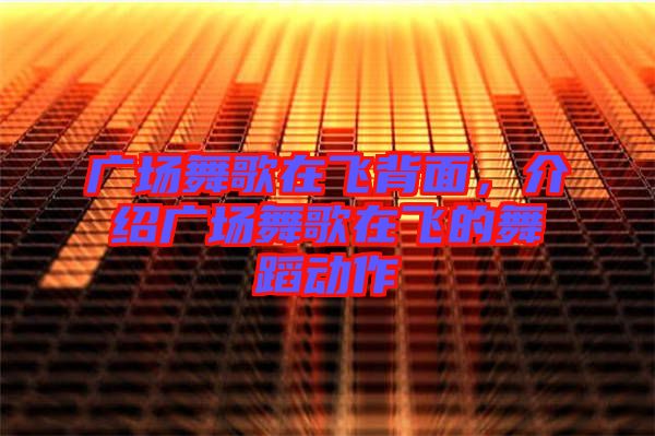 廣場舞歌在飛背面，介紹廣場舞歌在飛的舞蹈動作