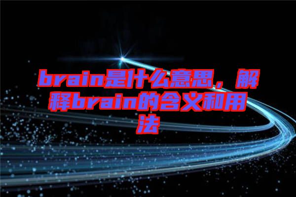 brain是什么意思，解釋brain的含義和用法