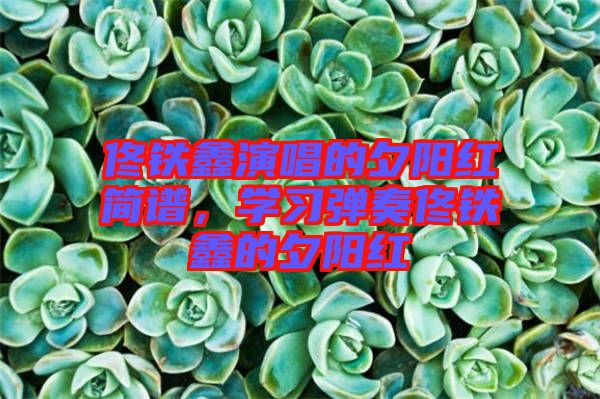 佟鐵鑫演唱的夕陽紅簡(jiǎn)譜，學(xué)習(xí)彈奏佟鐵鑫的夕陽紅