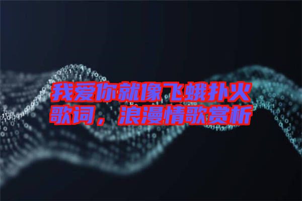 我愛你就像飛蛾撲火歌詞，浪漫情歌賞析