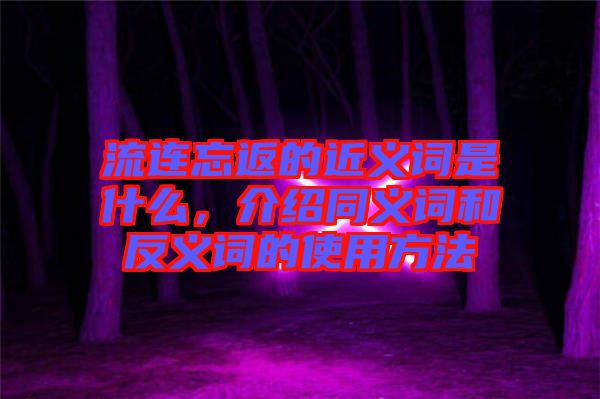流連忘返的近義詞是什么，介紹同義詞和反義詞的使用方法