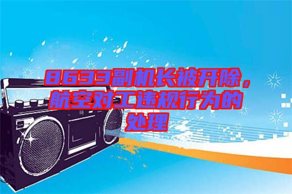 8633副機長被開除，航空對工違規(guī)行為的處理