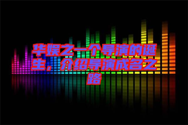 華娛之一個導演的誕生，介紹導演成名之路
