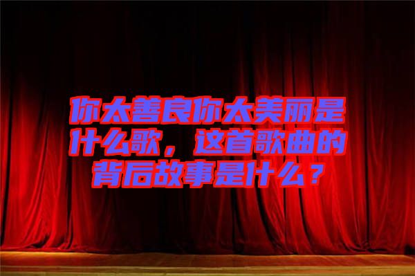 你太善良你太美麗是什么歌，這首歌曲的背后故事是什么？