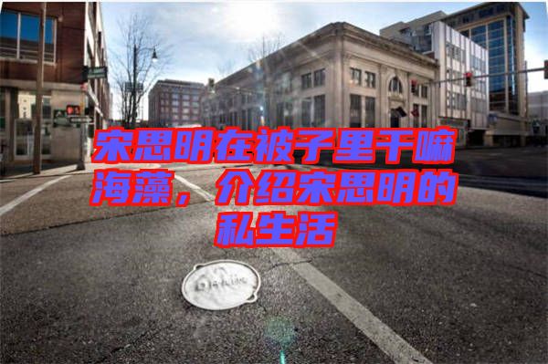 宋思明在被子里干嘛海藻，介紹宋思明的私生活