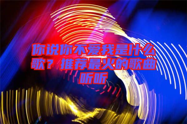 你說你不愛我是什么歌？推薦最火的歌曲聽聽