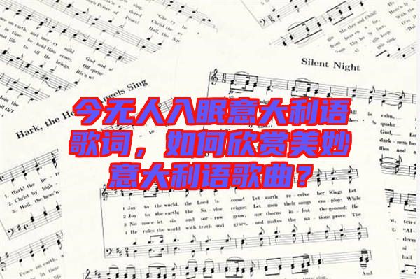 今無人入眠意大利語歌詞，如何欣賞美妙意大利語歌曲？