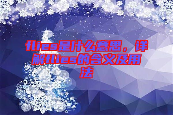 flies是什么意思，詳解flies的含義及用法