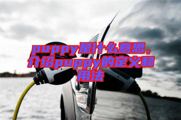 puppy是什么意思，介紹puppy的定義和用法