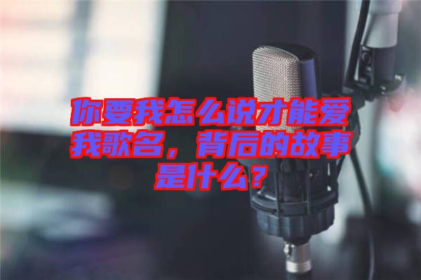 你要我怎么說才能愛我歌名，背后的故事是什么？