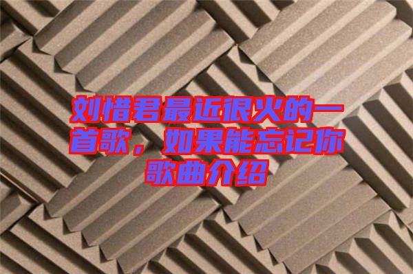 劉惜君最近很火的一首歌，如果能忘記你歌曲介紹