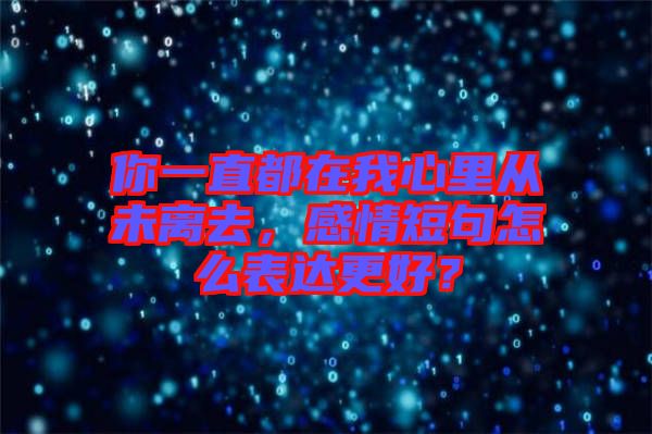 你一直都在我心里從未離去，感情短句怎么表達(dá)更好？