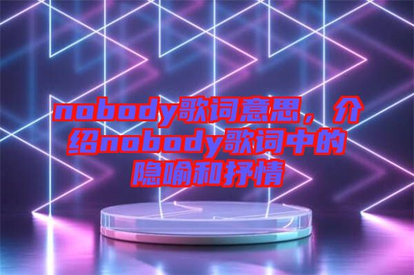 nobody歌詞意思，介紹nobody歌詞中的隱喻和抒情