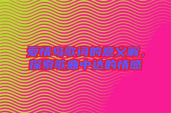 愛(ài)情鳥歌詞的意義解，探索歌曲中達(dá)的情感