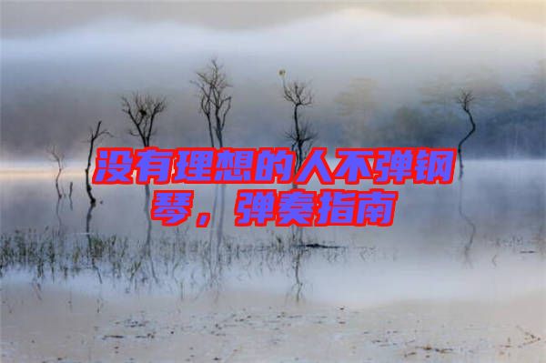 沒有理想的人不彈鋼琴，彈奏指南