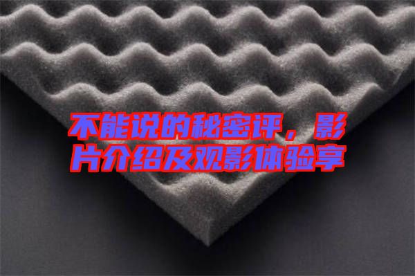 不能說的秘密評，影片介紹及觀影體驗享