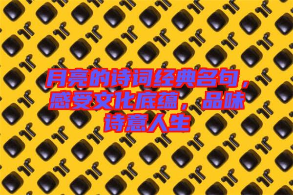 月亮的詩詞經(jīng)典名句，感受文化底蘊，品味詩意人生