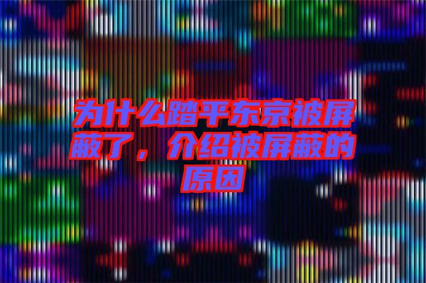 為什么踏平東京被屏蔽了，介紹被屏蔽的原因