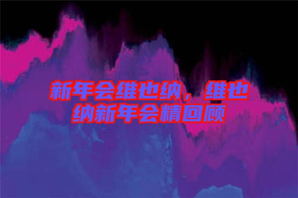 新年會(huì)維也納，維也納新年會(huì)精回顧