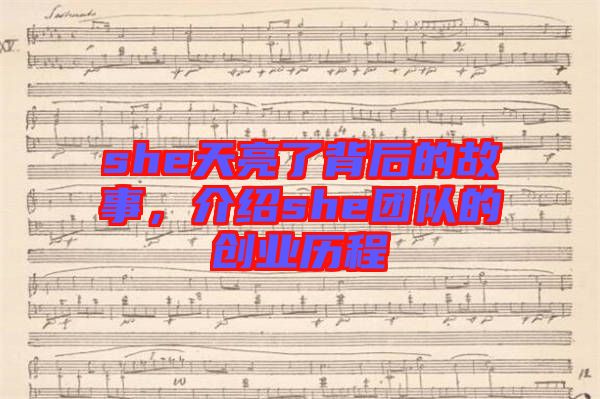 she天亮了背后的故事，介紹she團(tuán)隊(duì)的創(chuàng)業(yè)歷程