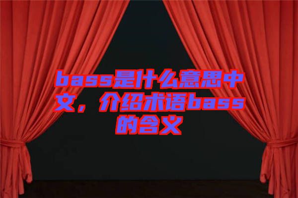 bass是什么意思中文，介紹術(shù)語bass的含義
