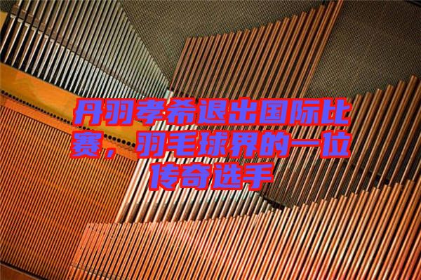 丹羽孝希退出國(guó)際比賽，羽毛球界的一位傳奇選手
