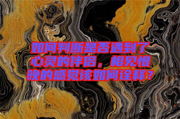 如何判斷是否遇到了心靈的伴侶，相見恨晚的感覺該如何詮釋？
