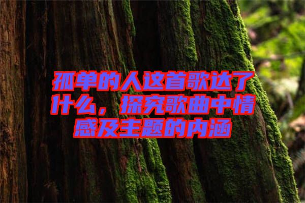 孤單的人這首歌達(dá)了什么，探究歌曲中情感及主題的內(nèi)涵