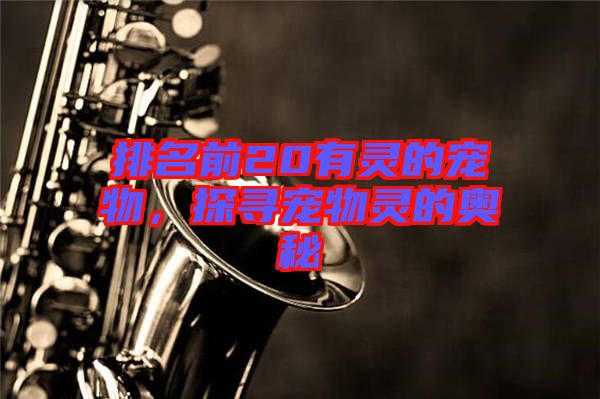 排名前20有靈的寵物，探尋寵物靈的奧秘