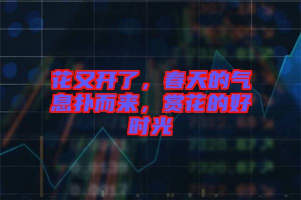 花又開了，春天的氣息撲而來，賞花的好時(shí)光