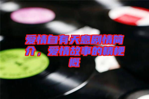 愛情自有天意劇情簡介，愛情故事的精梗概