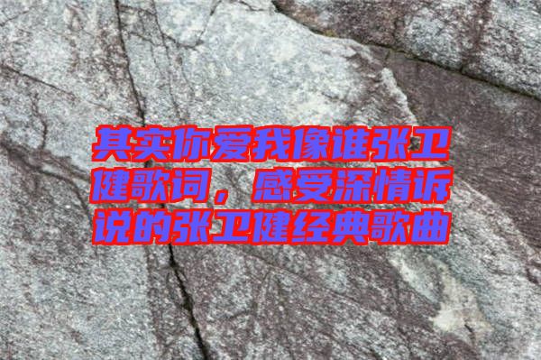 其實(shí)你愛我像誰張衛(wèi)健歌詞，感受深情訴說的張衛(wèi)健經(jīng)典歌曲