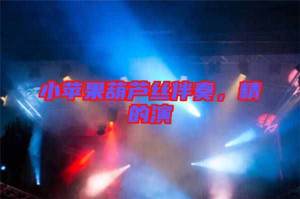 小蘋(píng)果葫蘆絲伴奏，精的演