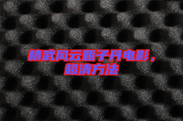 精武風(fēng)云甄子丹電影，超清方法