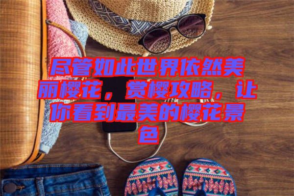 盡管如此世界依然美麗櫻花，賞櫻攻略，讓你看到最美的櫻花景色