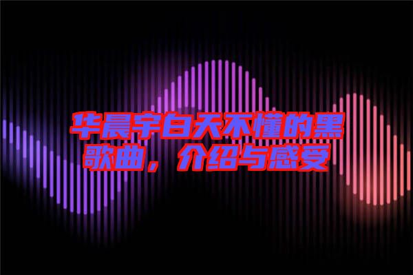 華晨宇白天不懂的黑歌曲，介紹與感受