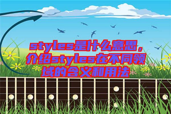 styles是什么意思，介紹styles在不同領域的含義和用法