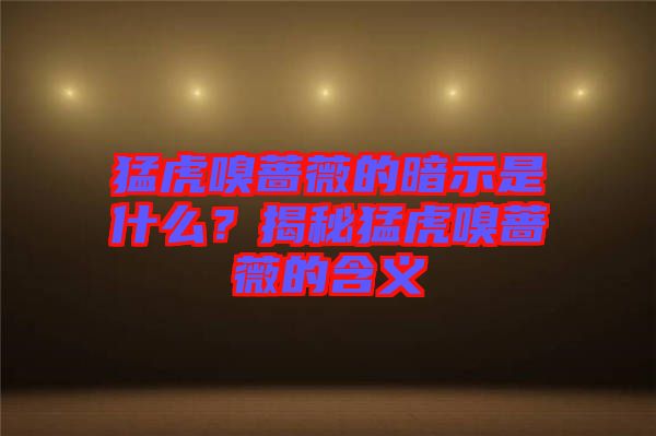 猛虎嗅薔薇的暗示是什么？揭秘猛虎嗅薔薇的含義