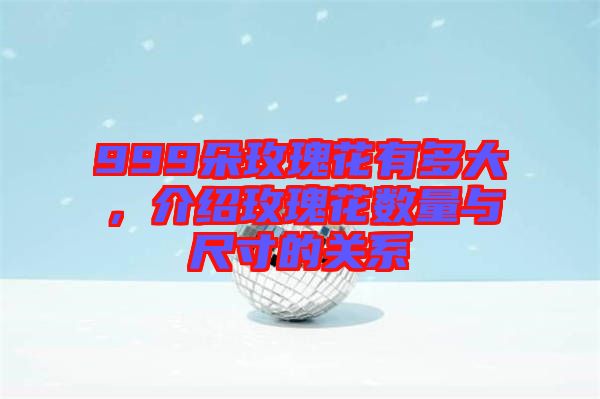 999朵玫瑰花有多大，介紹玫瑰花數(shù)量與尺寸的關(guān)系