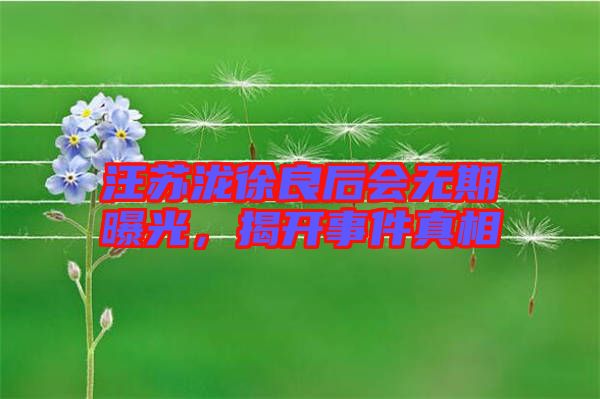 汪蘇瀧徐良后會無期曝光，揭開事件真相