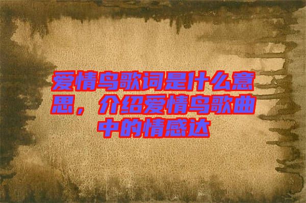 愛情鳥歌詞是什么意思，介紹愛情鳥歌曲中的情感達(dá)