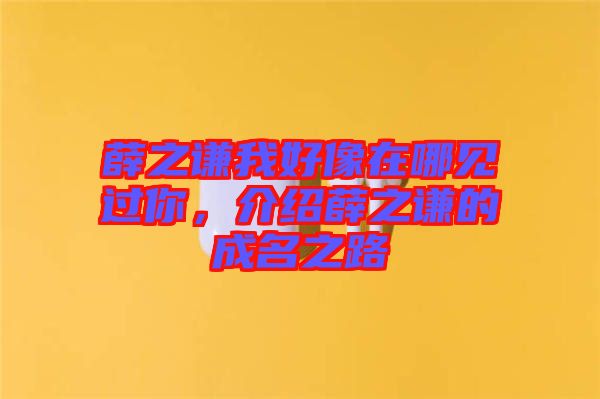 薛之謙我好像在哪見(jiàn)過(guò)你，介紹薛之謙的成名之路