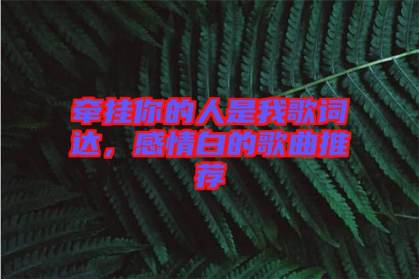牽掛你的人是我歌詞達，感情白的歌曲推薦