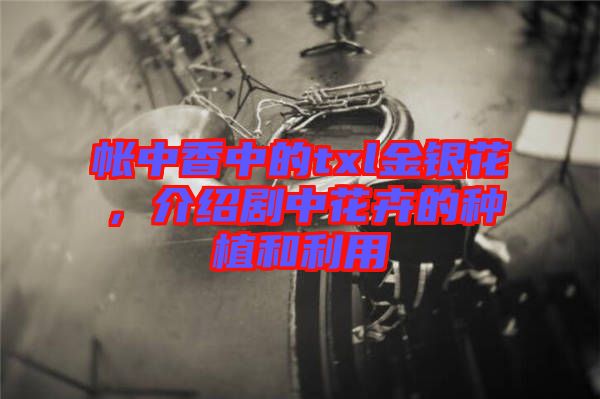 帳中香中的txl金銀花，介紹劇中花卉的種植和利用