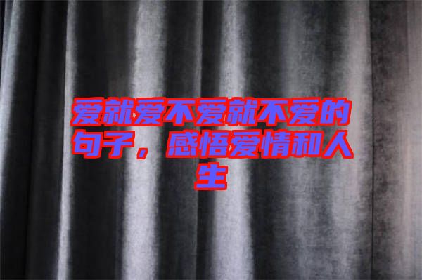 愛就愛不愛就不愛的句子，感悟愛情和人生