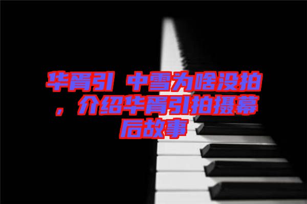華胥引柸中雪為啥沒(méi)拍，介紹華胥引拍攝幕后故事