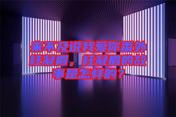 來不及說我愛你番外枉凝眉，枉凝眉的故事是怎樣的？